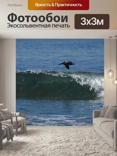 Фотообои Пеликан