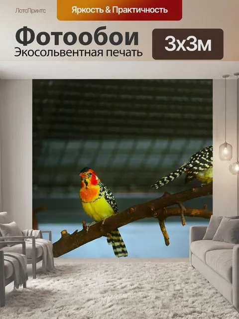 Фотообои Природа