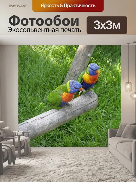 Фотообои Дикая природа