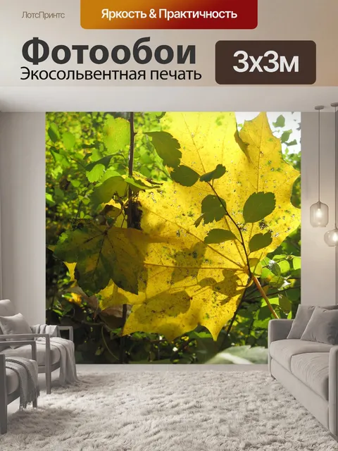 Фотообои Листья