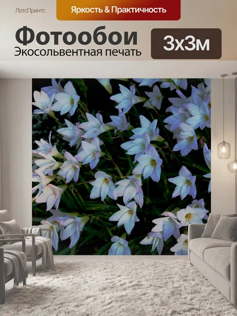 Фотообои буря лилии