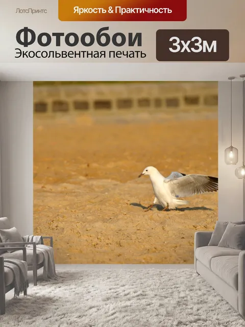 Фотообои Птица
