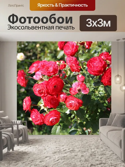 Фотообои Розы