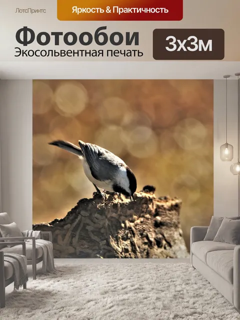 Фотообои Синица и золотое боке