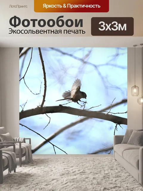 Фотообои Птица