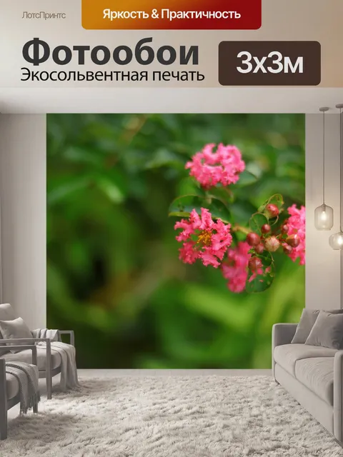 Фотообои Цветы
