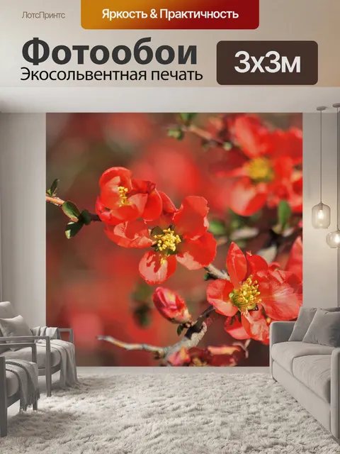 Фотообои Цветок оранжевого дерева крупным планом