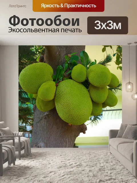 Фотообои Джекфрут