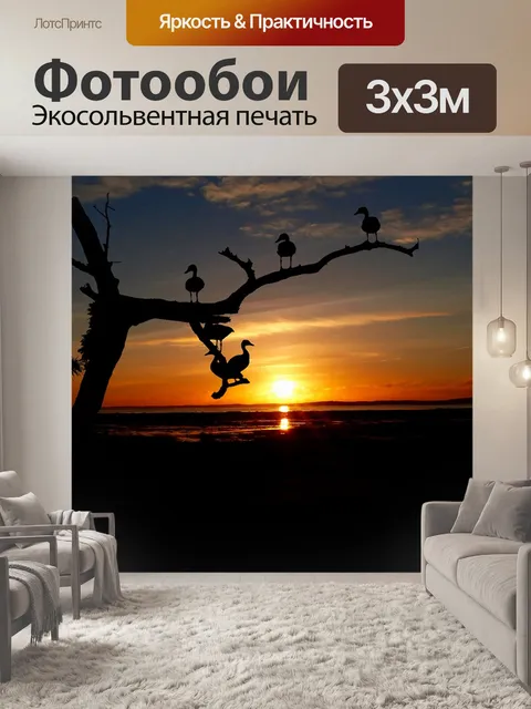 Фотообои Заход солнца
