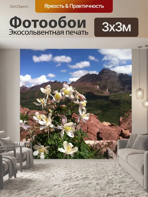 Фотообои Цветы