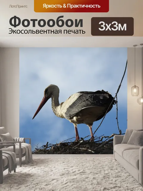 Фотообои Птицы