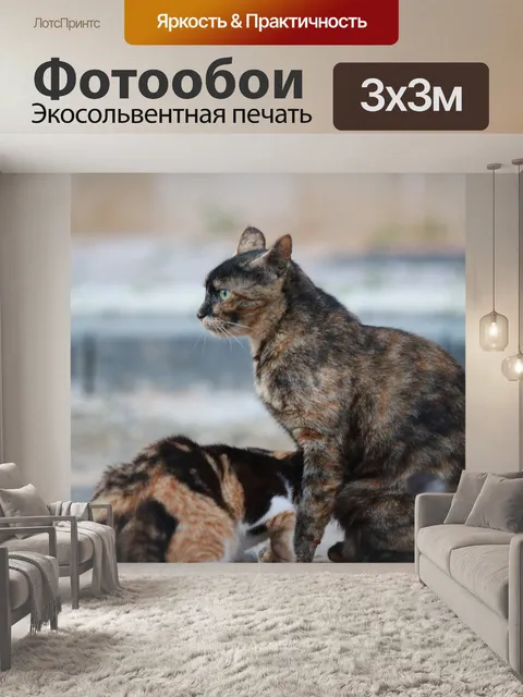 Фотообои Кошки