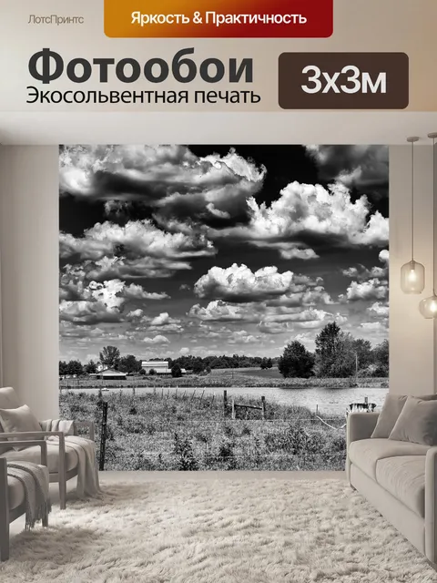 Фотообои Монохромный