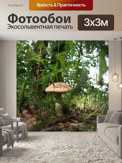 Фотообои Гриб