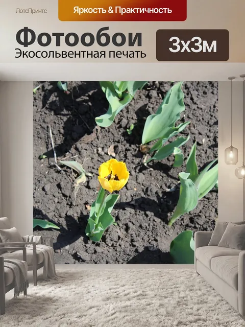 Фотообои Цветы