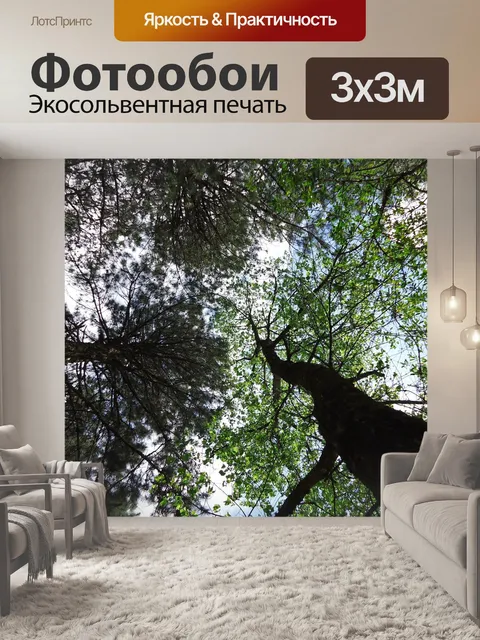 Фотообои Деревья