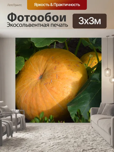 Фотообои Еда