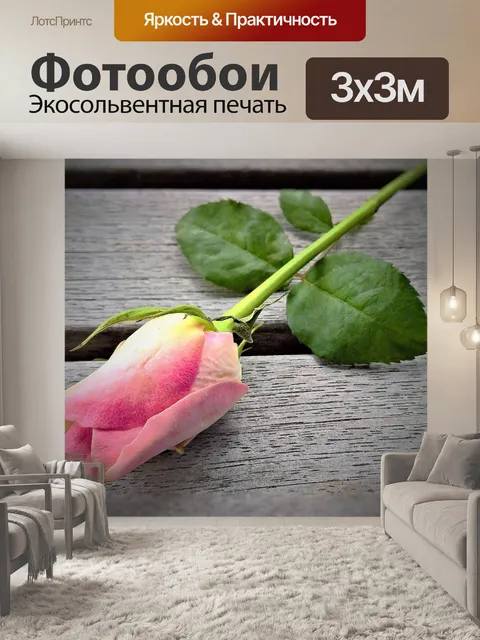 Фотообои Роза