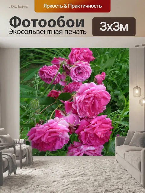 Фотообои Розы