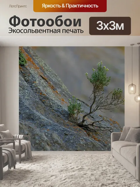 Фотообои Саженец