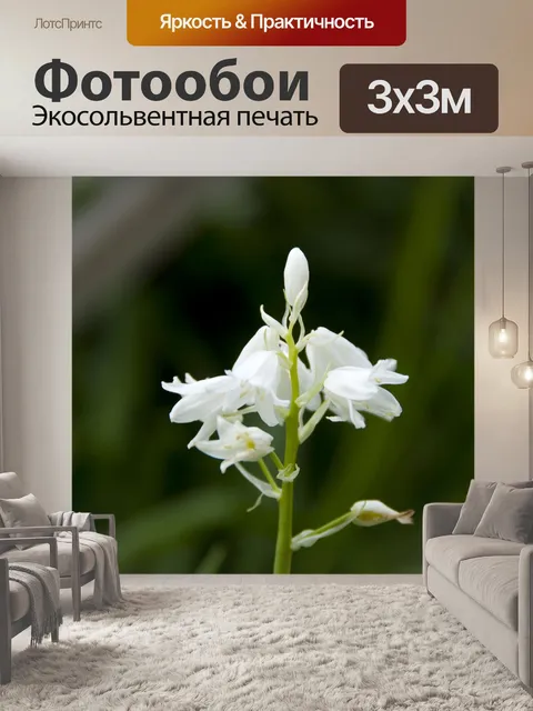 Фотообои Прорастать