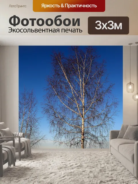 Фотообои Березы