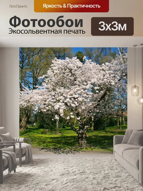 Фотообои Белый
