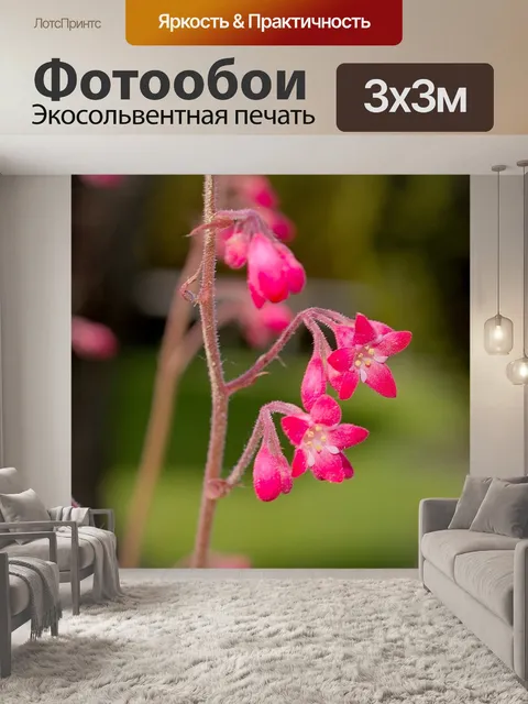 Фотообои Золотые колокольчики