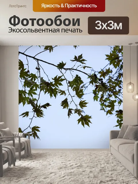 Фотообои Дерево