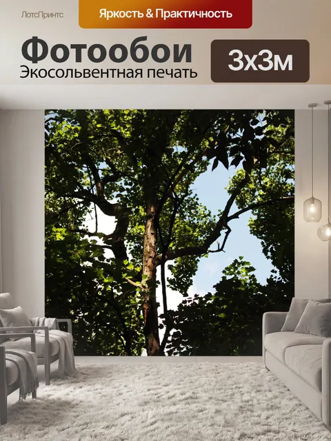 Фотообои солнечный свет на листве деревьев