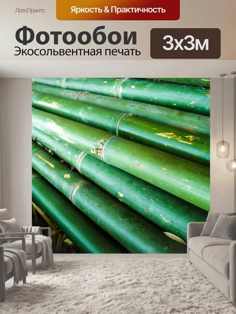 Фотообои Бамбуковый лес