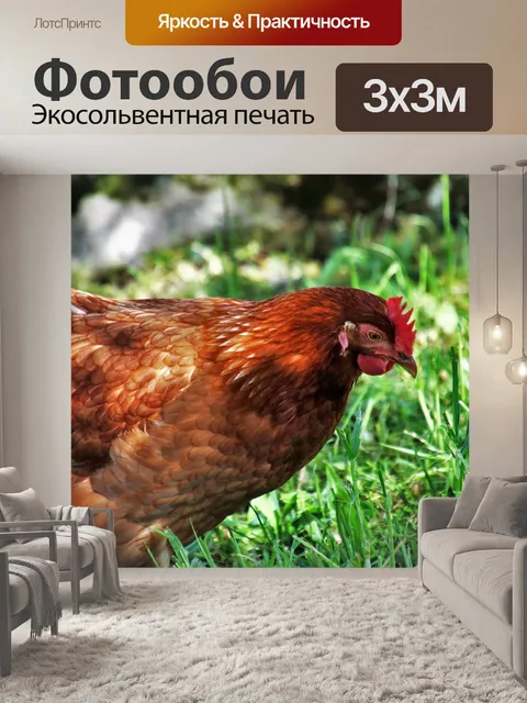 Фотообои Птицы