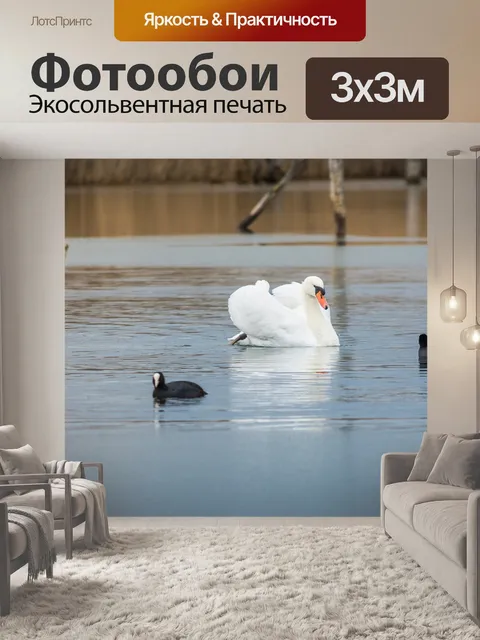 Фотообои Птица