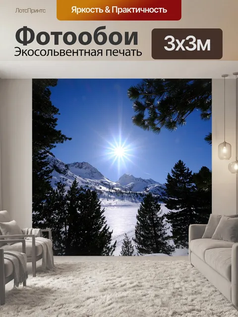 Фотообои Сосны лес