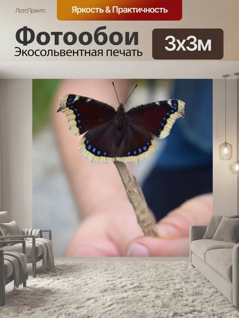 Фотообои Бабочка