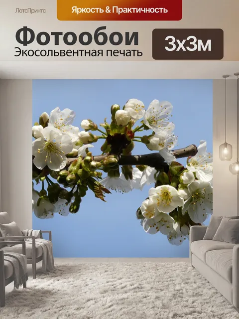 Фотообои Весна
