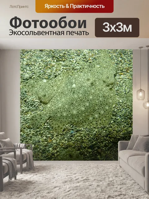 Фотообои Рыба