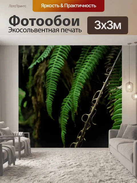 Фотообои Папоротник