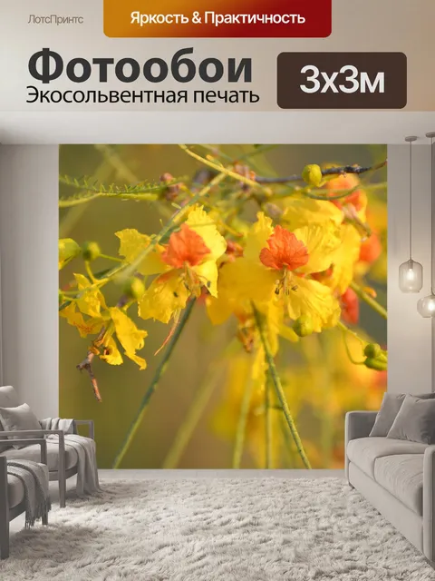 Фотообои Цветы