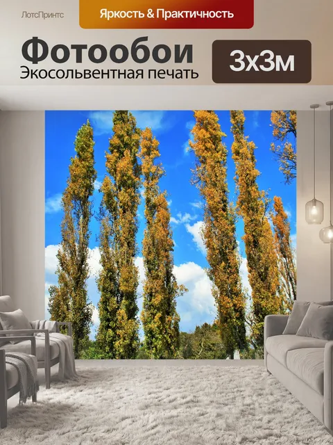 Фотообои высокие тонкие желтые тополя