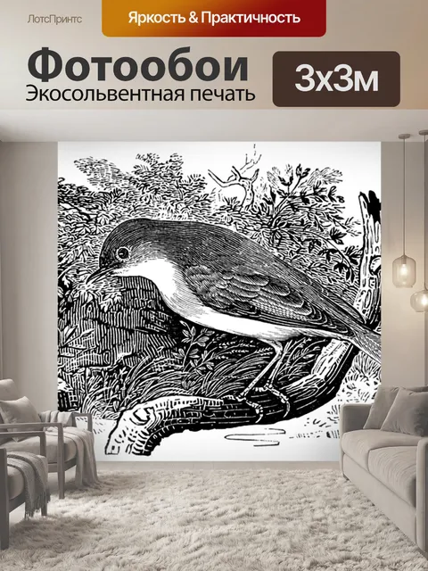 Фотообои Серый обыкновенный