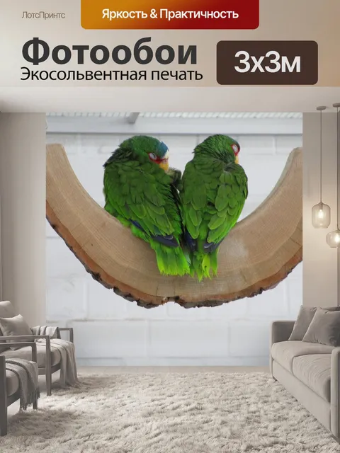 Фотообои Зеленые попугаи