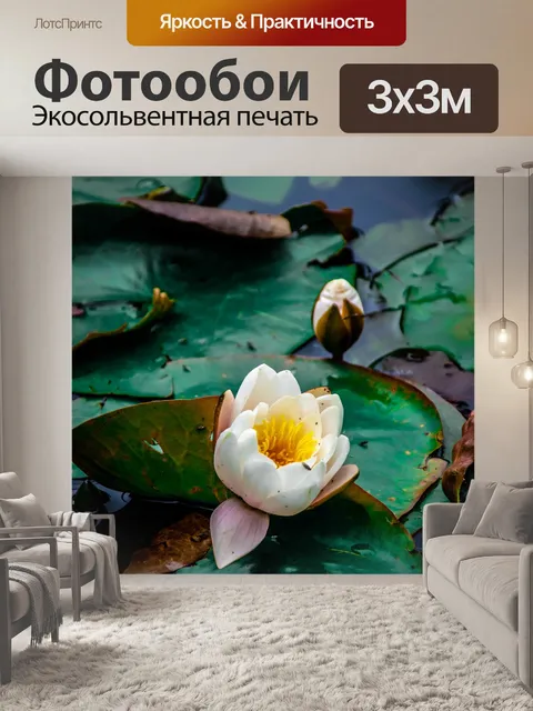 Фотообои Лотос