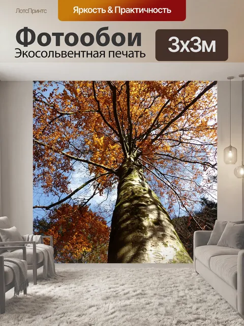 Фотообои Природа