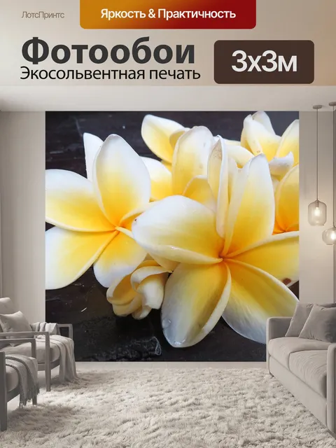 Фотообои Франжипани
