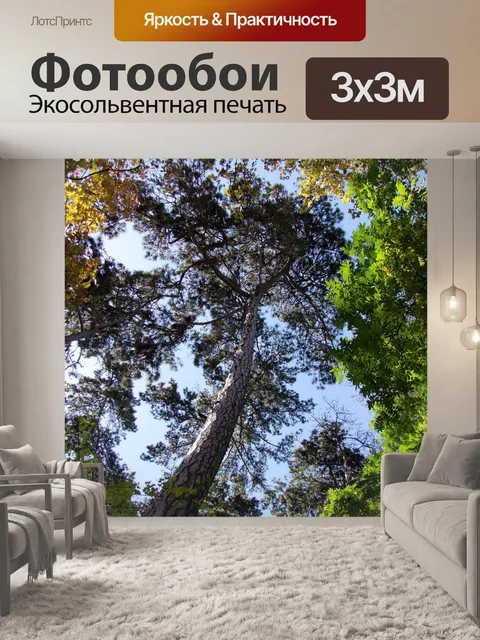 Фотообои Деревья