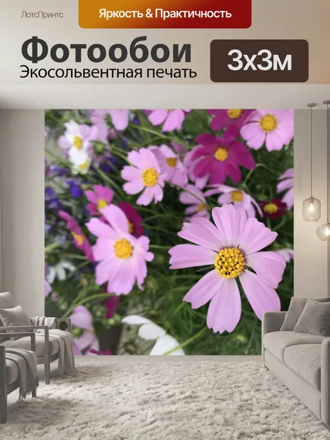 Фотообои Цветок космоса