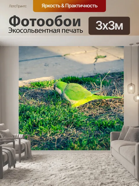 Фотообои Птица