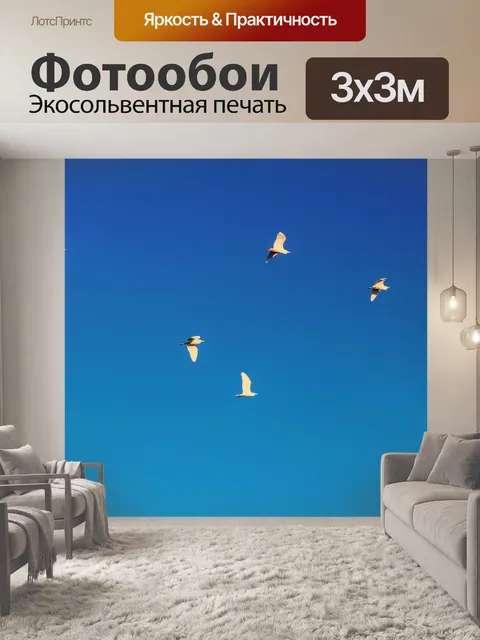Фотообои Птицы