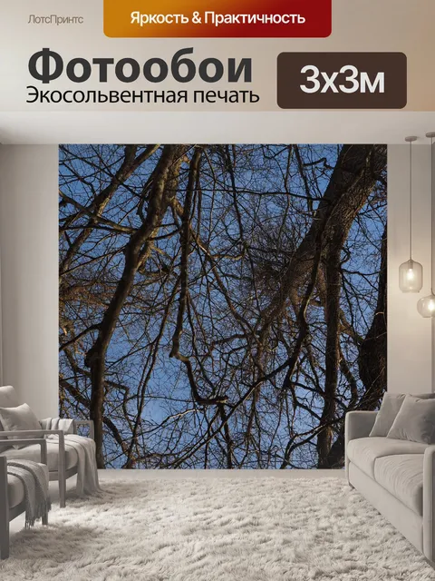 Фотообои Деревья